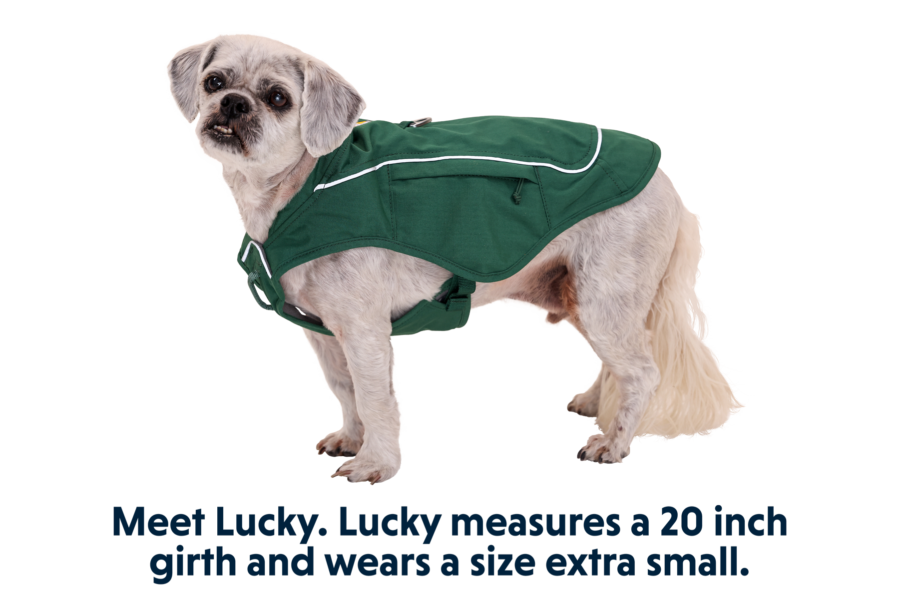 05151_Overcoat-Fuse_Evergreen_LUCKY_XSmall.png