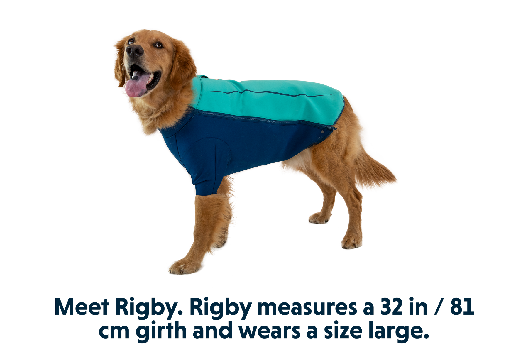 0535_Undercoat_Aurora-Teal_RIGBY_Large_38112204-5e7c-49db-af1f-0ae4be05e7ae.png