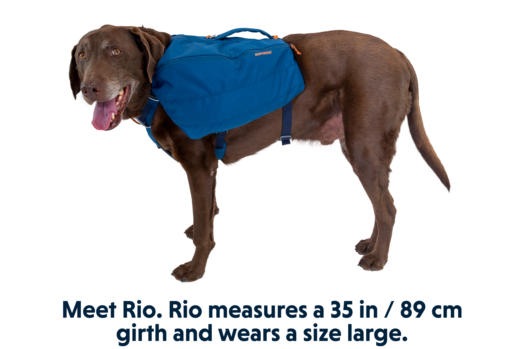 5060_Front-Range-Day-Pack_Blue-Moon_RIO_XL.png