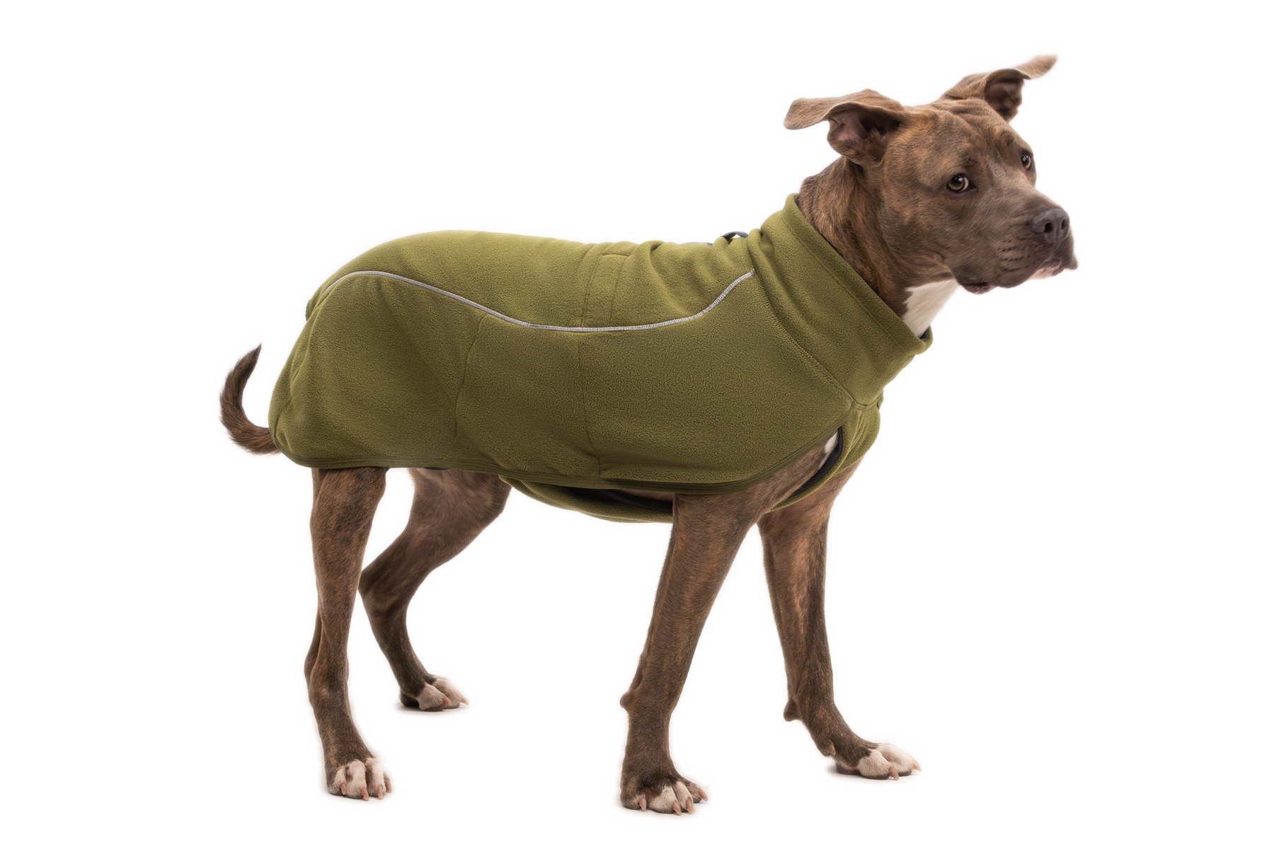 CompressedPNG-0588_Climate-Changer-Fleece-Vest_Cedar-Green_On-Dog-Action-2_STUDIO.png