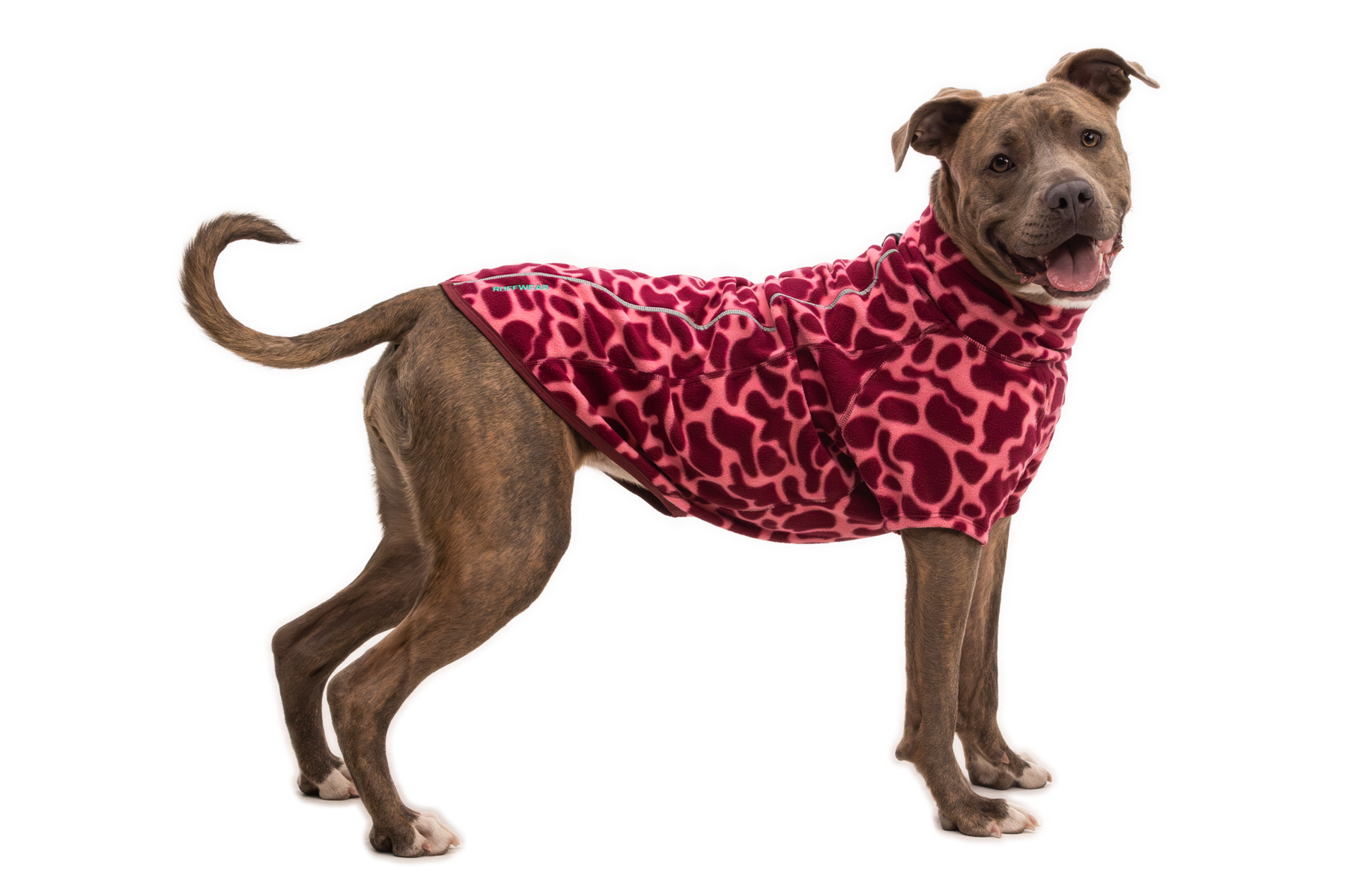 Compressed_PNG-05504_Climate-Changer-Jacket_Berry-Lava_On-Dog_STUDIO.png
